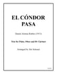 El Condor Pasa P.O.D cover